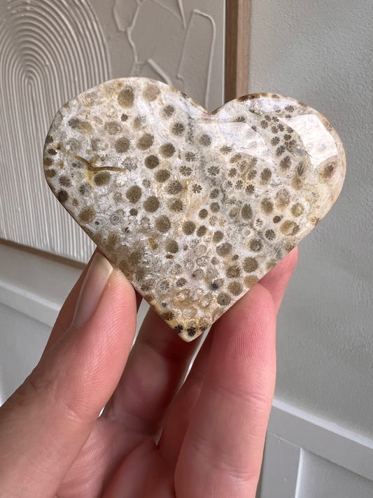 Fossilised coral heart