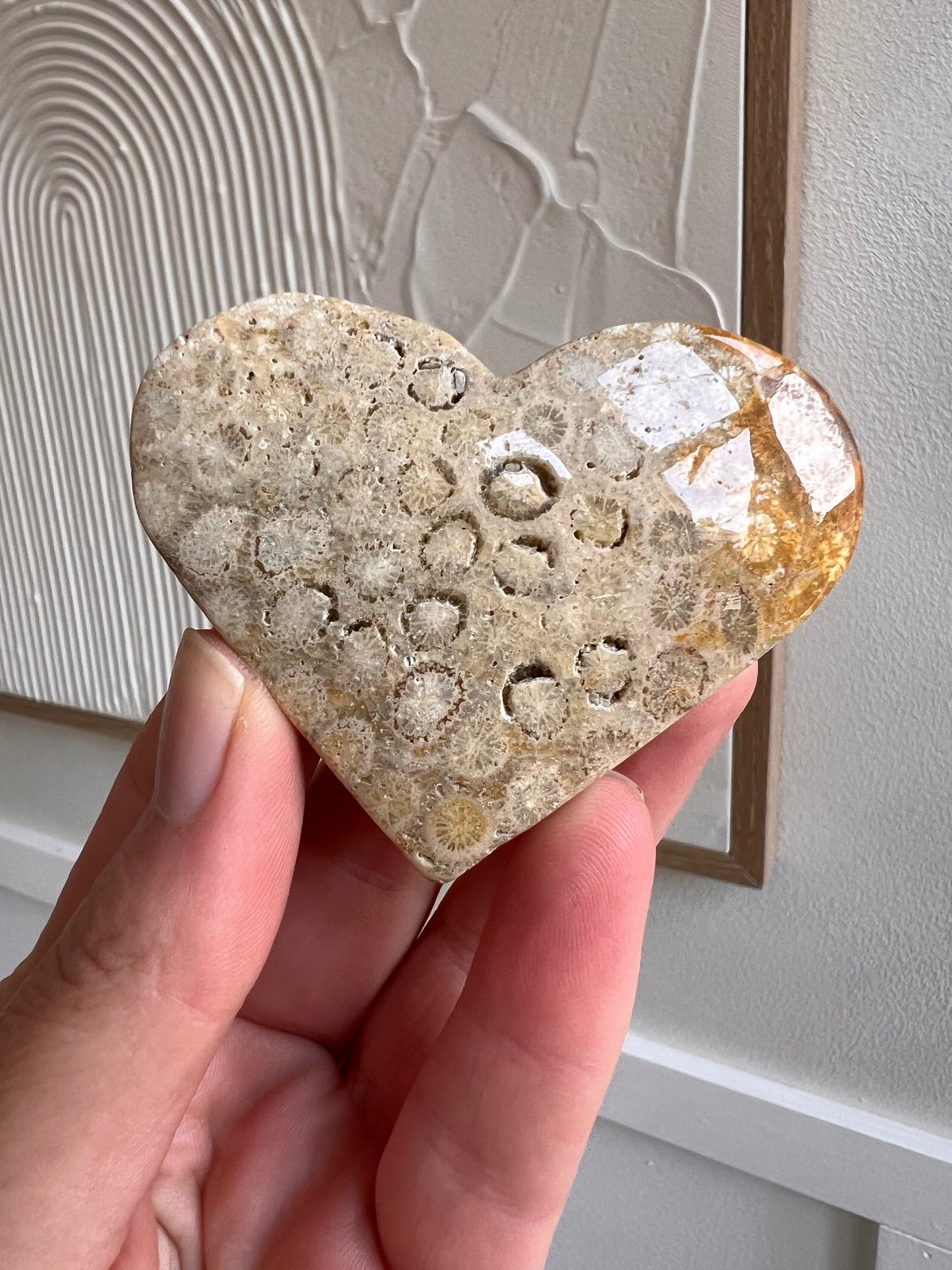 Fossilised coral heart