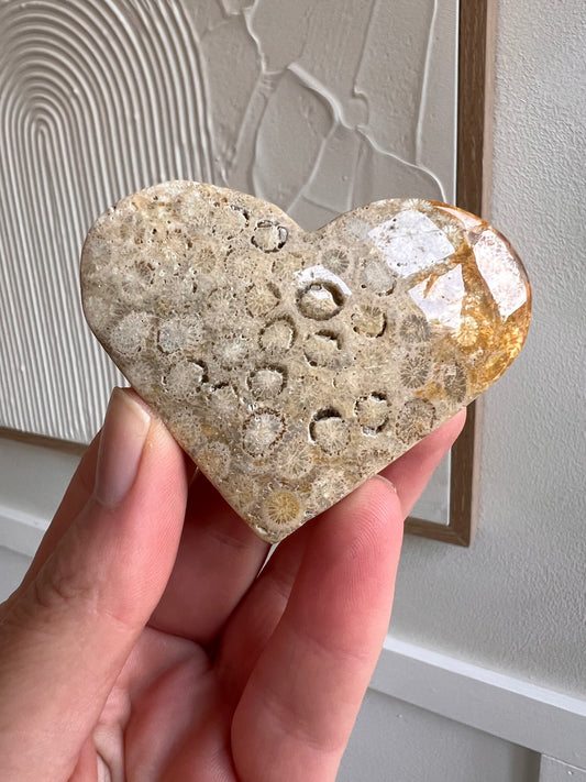 Fossilised coral heart
