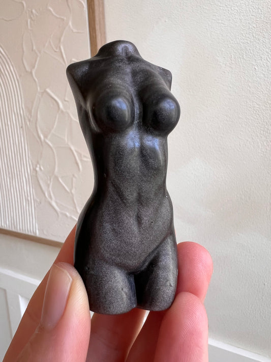 Silver SHEIN obsidian female body