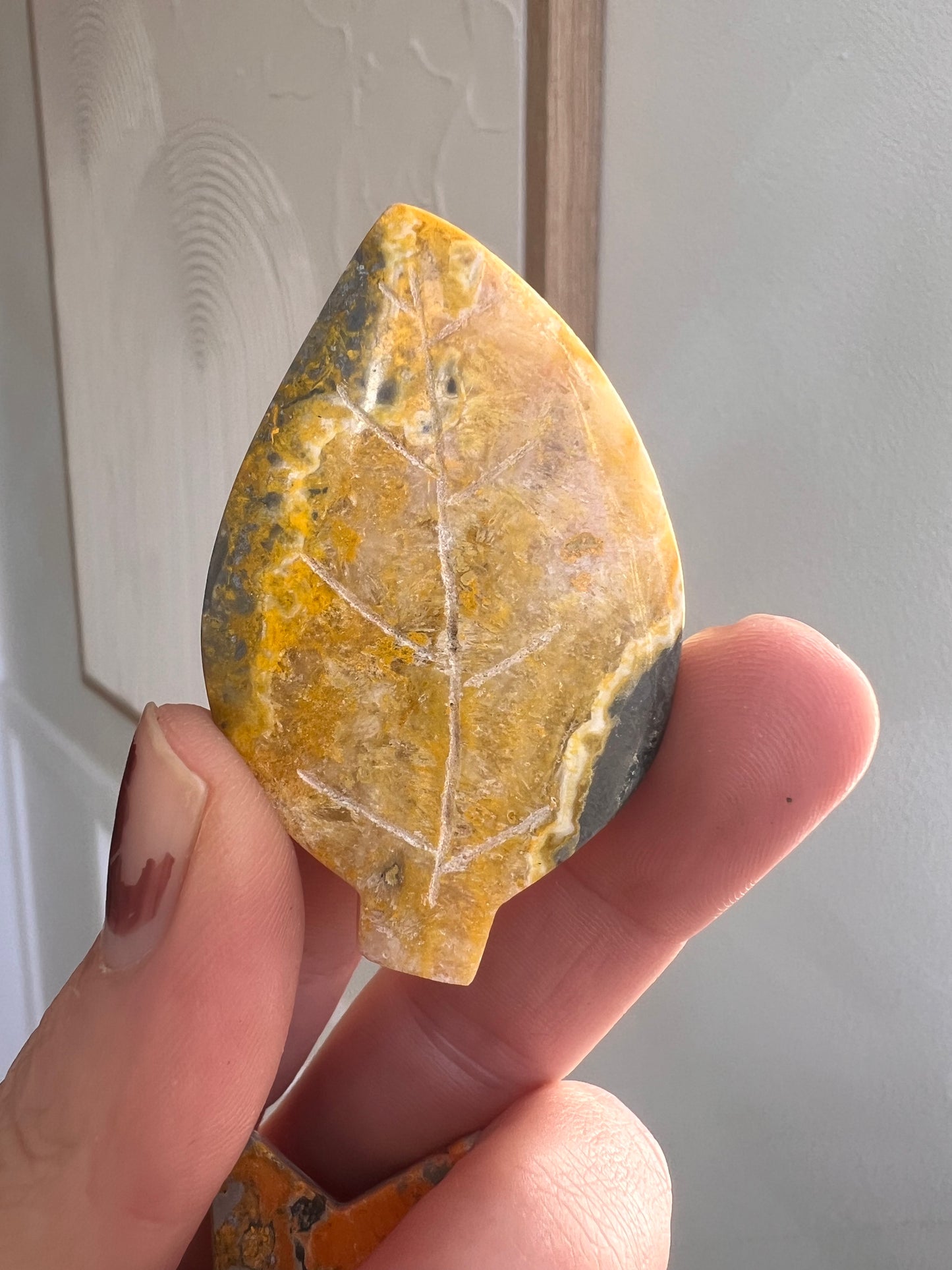 Bumblebee jasper leaf
