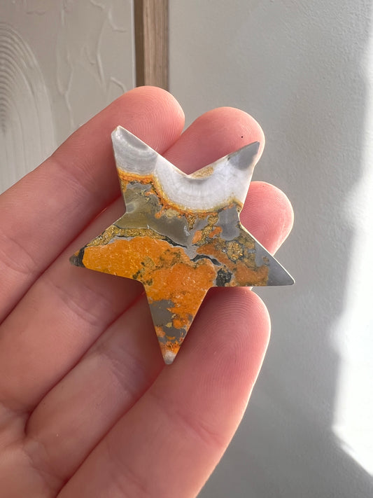 Bumblebee jasper star
