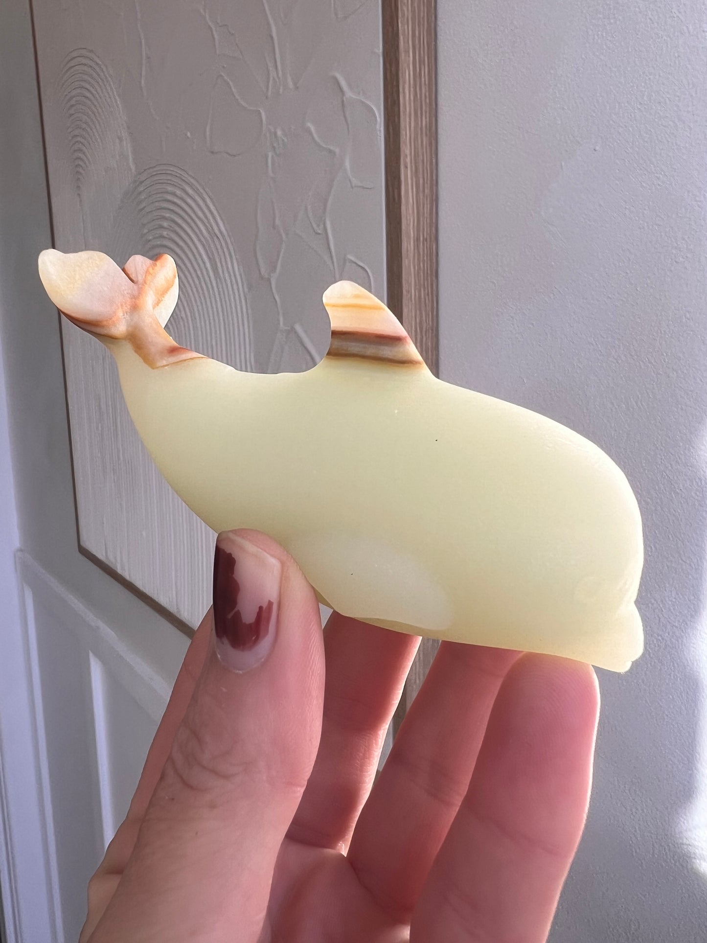 Onyx dolphin