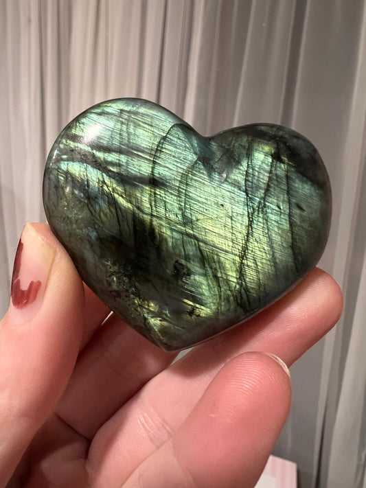 Lab heart