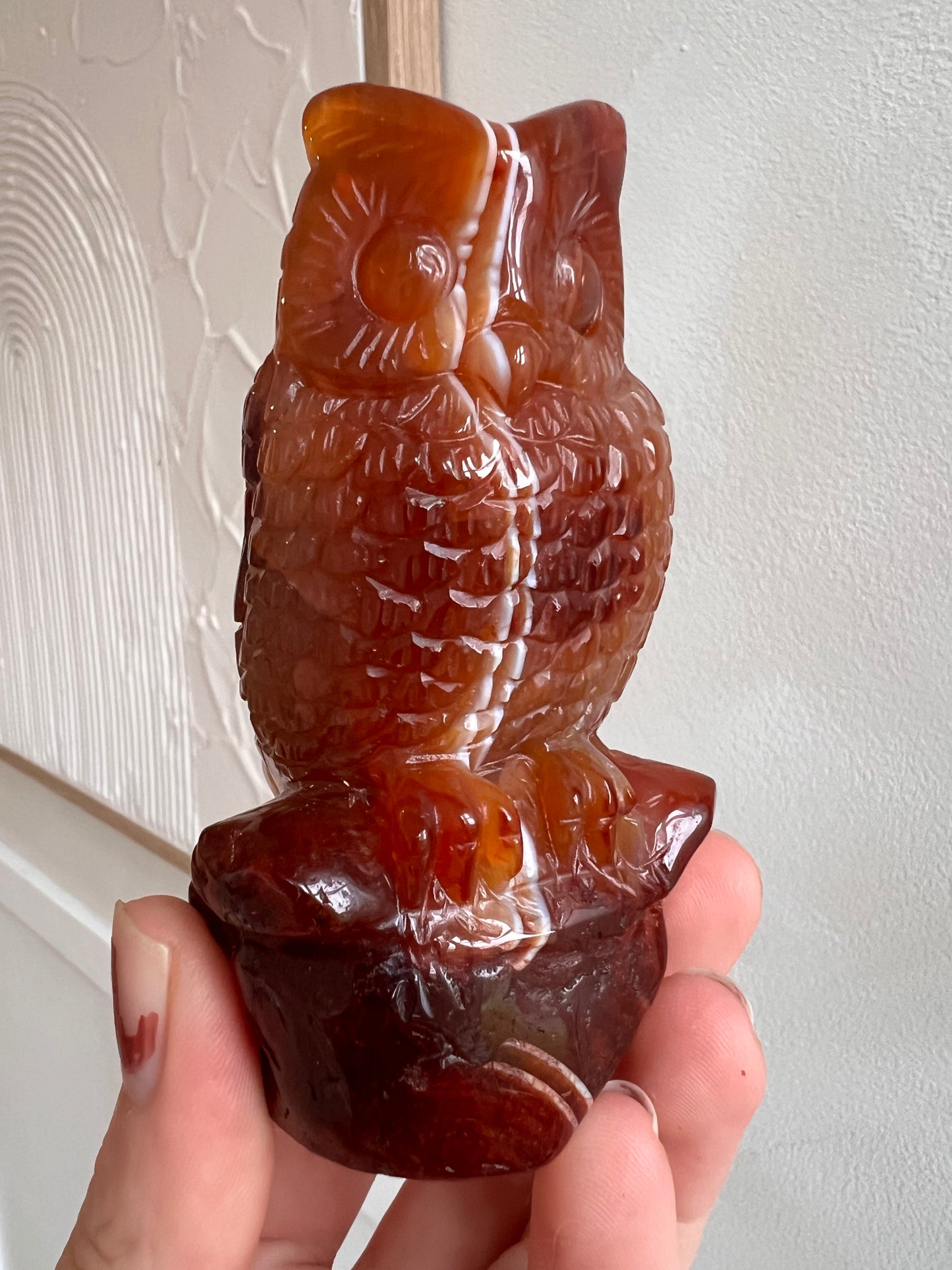 Carnelian owl