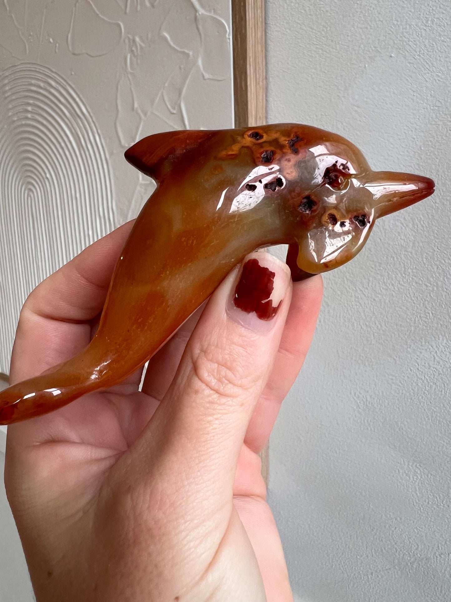 Carnelian dolphin