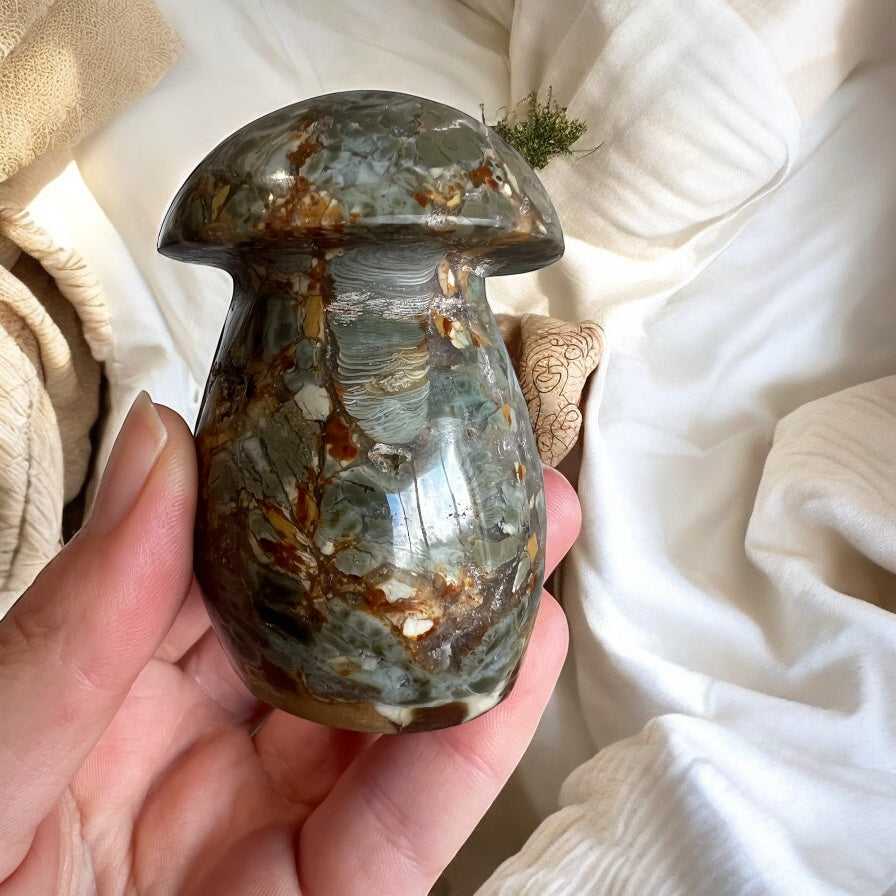 Polychrome mushroom