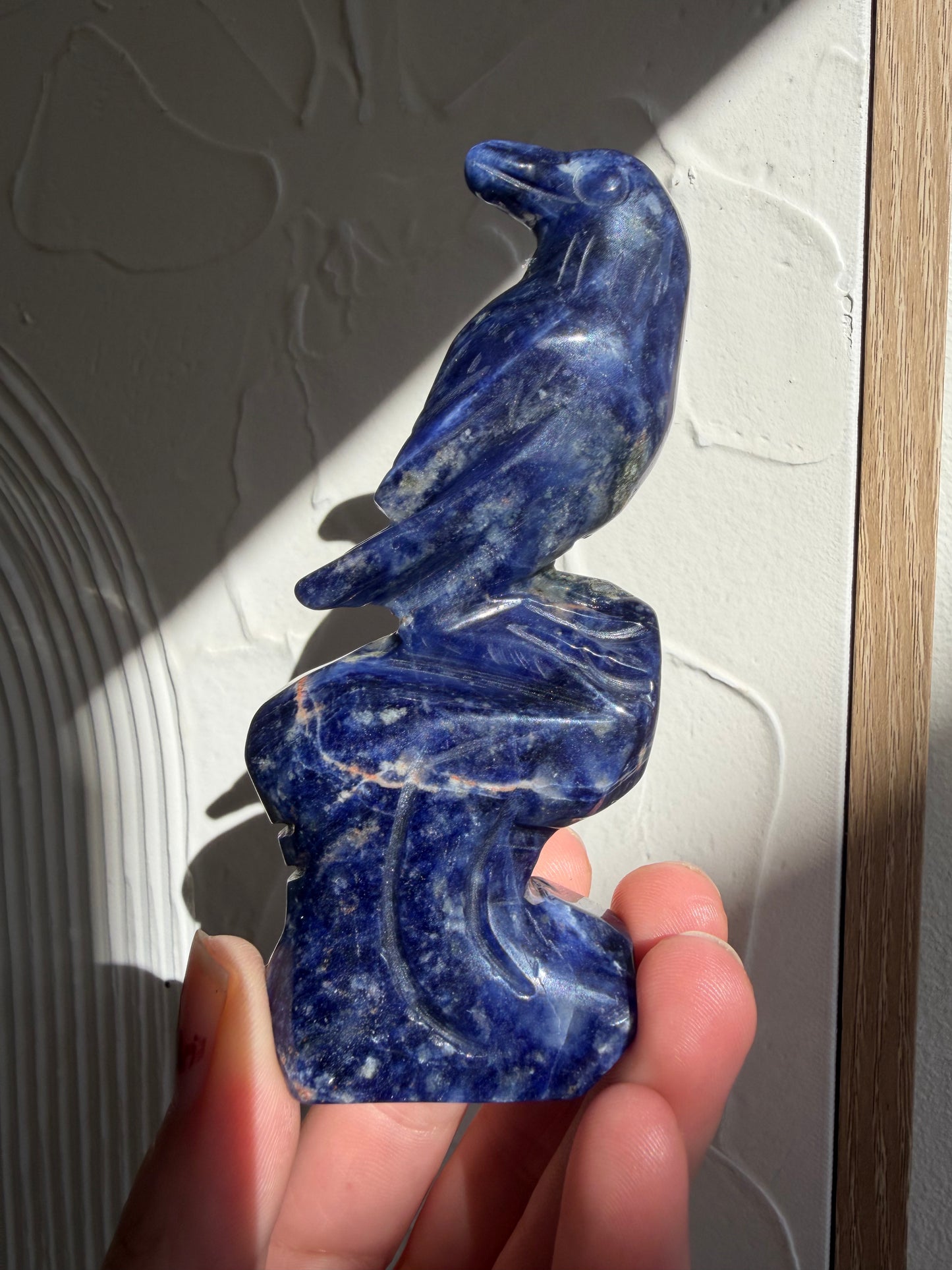 Sodalite standing crow