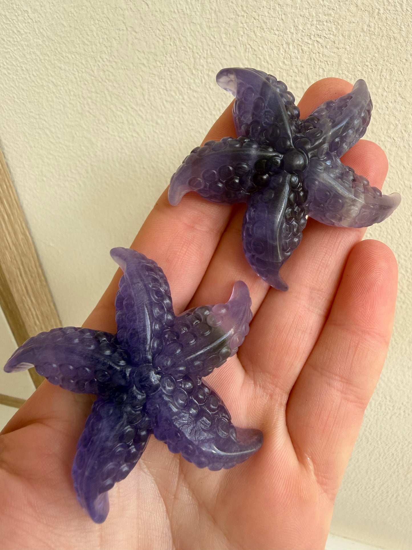 Purple fluorite starfish