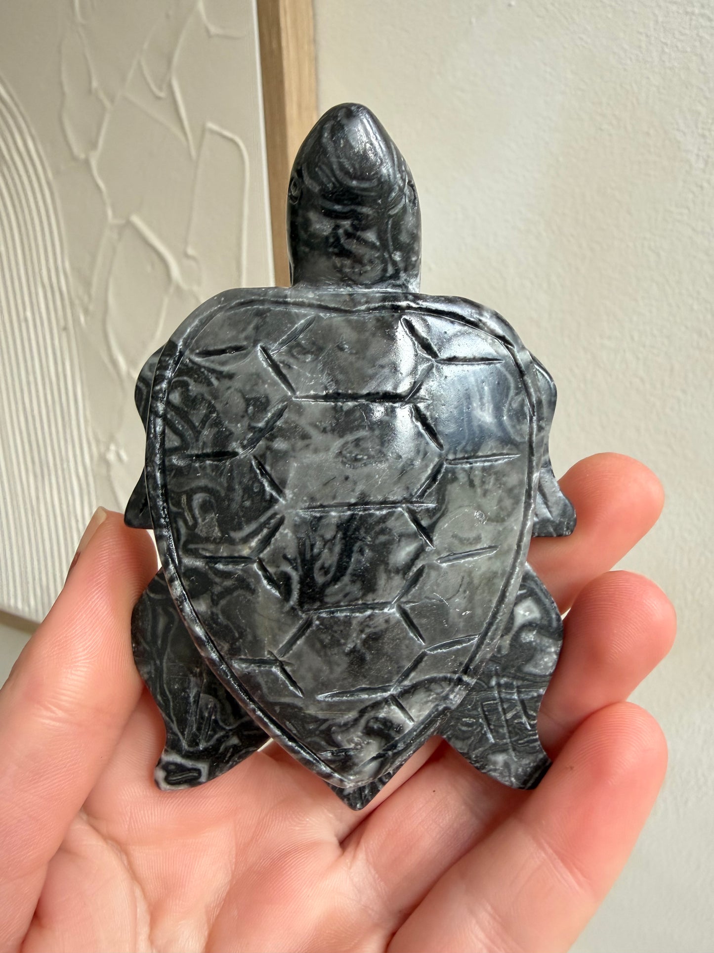 Grey crazy lace agate turtle