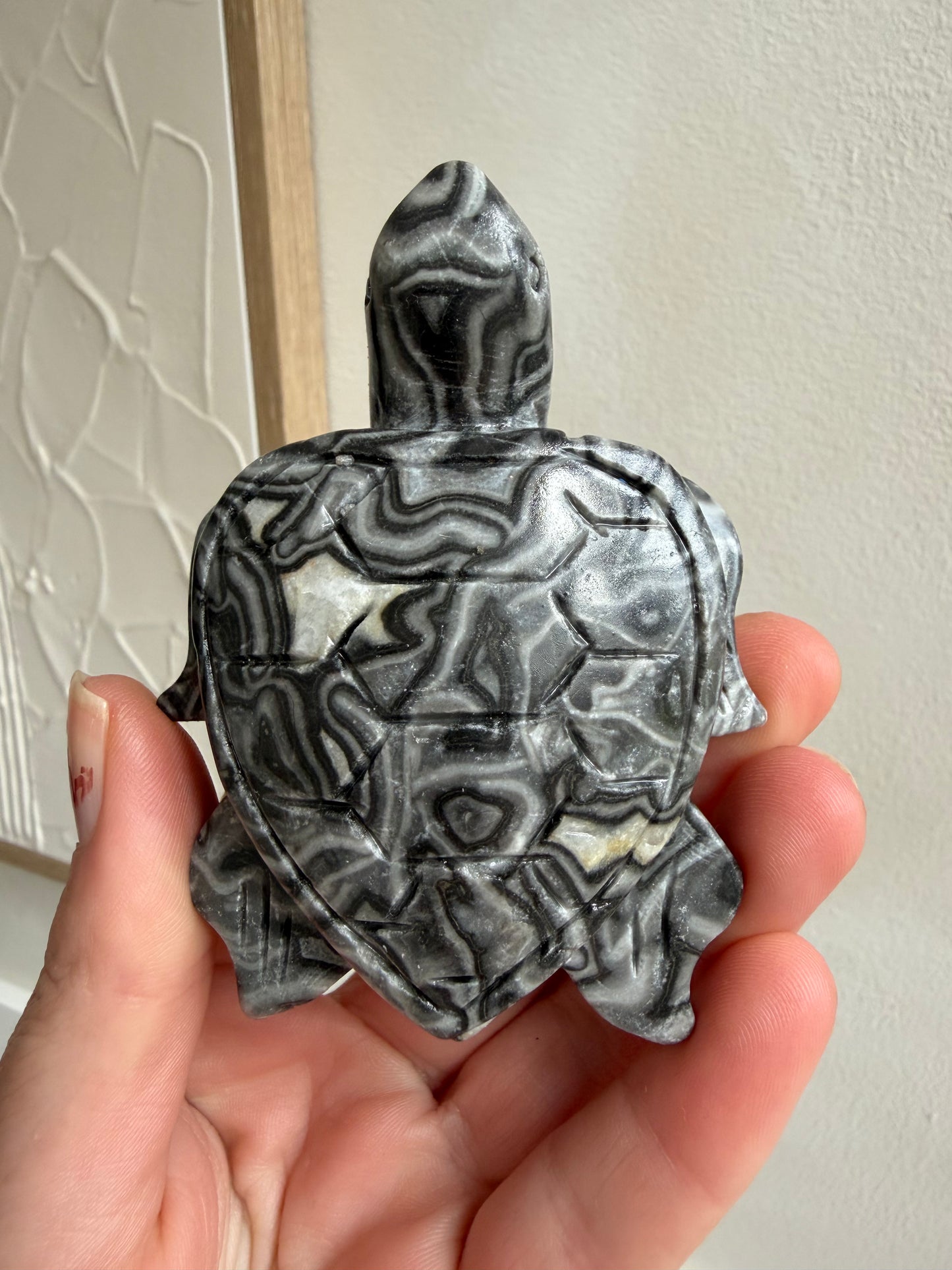 Grey crazy lace agate turtle