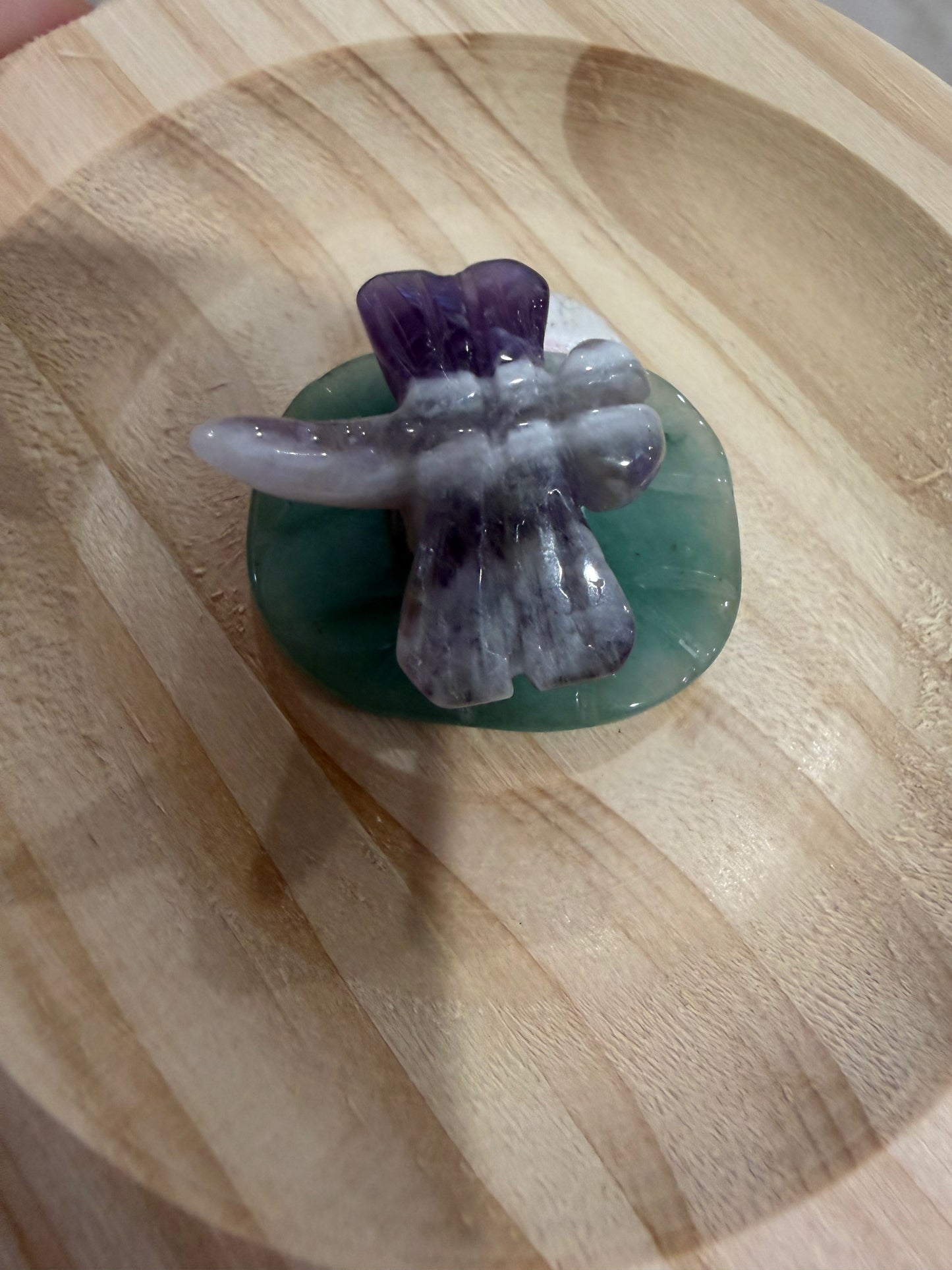 Amethyst dragonfly