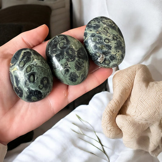 Kambaba jasper palm stones intuitively chosen