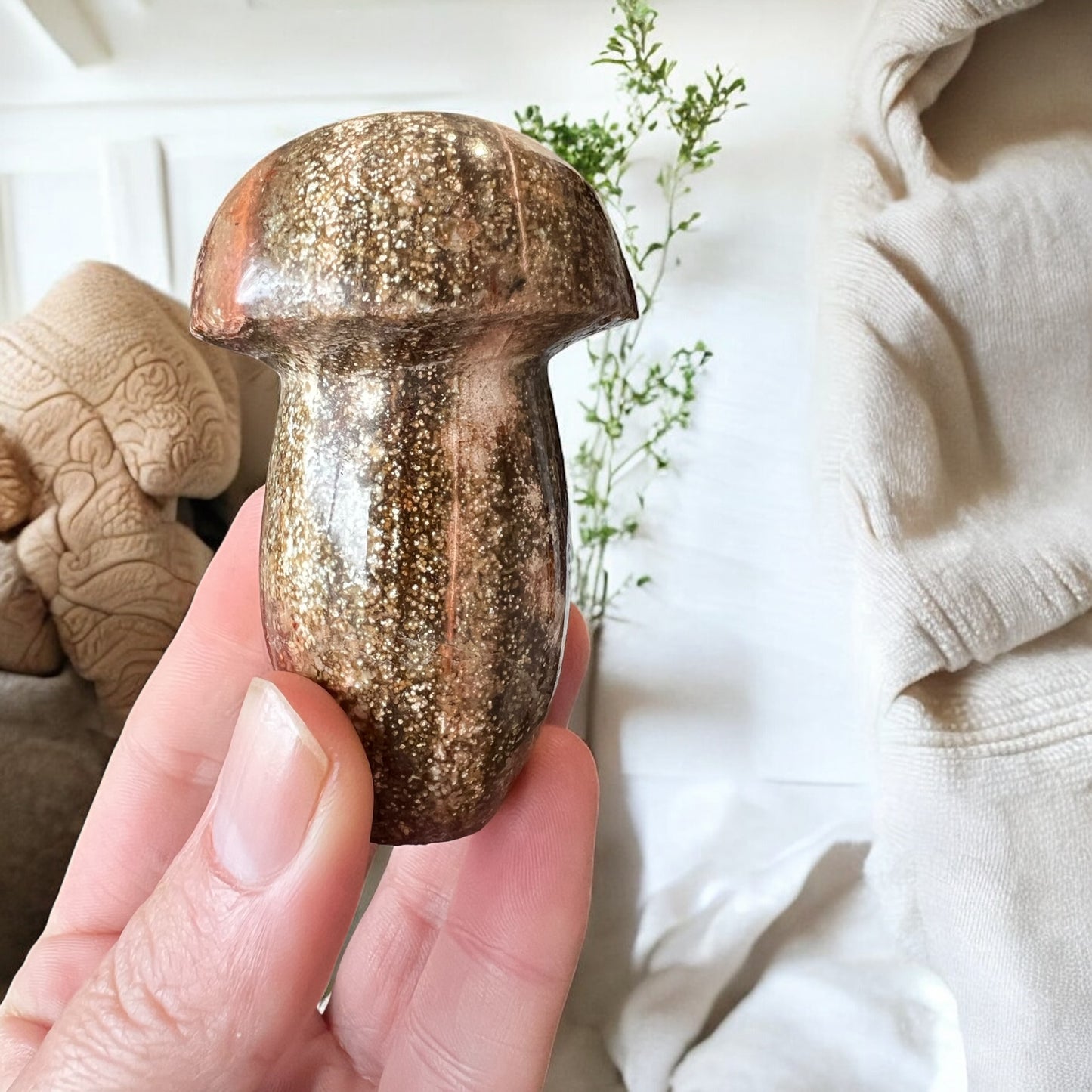Ocean jasper mushroom