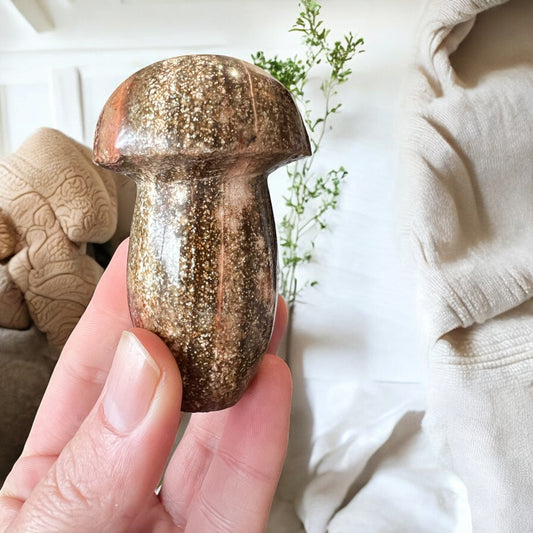 Ocean jasper mushroom