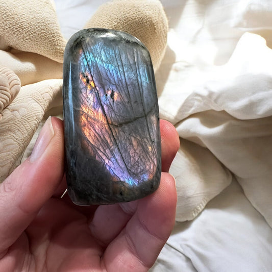 Lab Freeform L