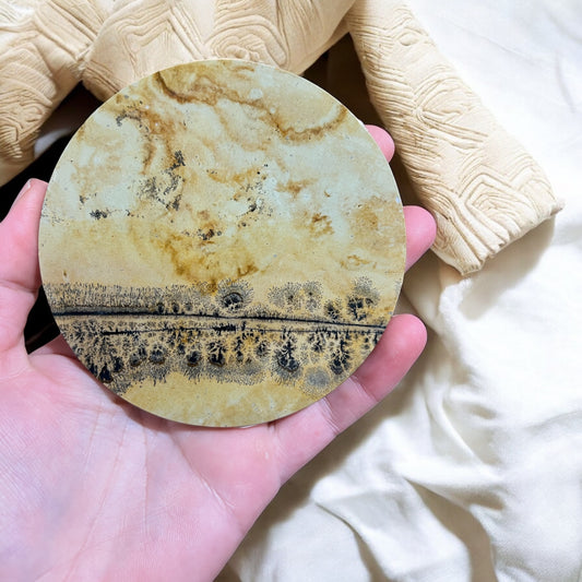 Picture jasper disc slab D