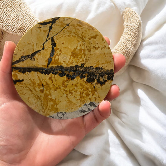 Picture jasper slab H