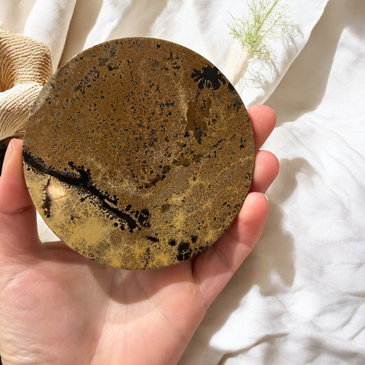 Picture jasper x