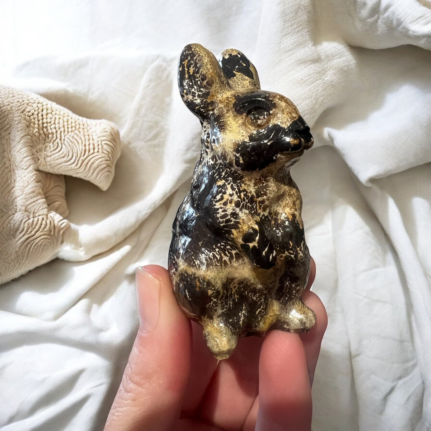 Picture jasper Bunny