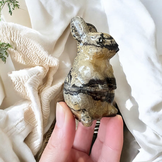 Picture jasper Bunny