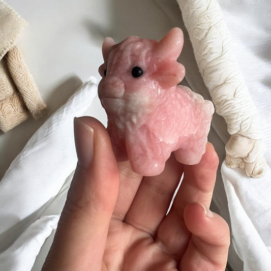 Pink opal highland cow