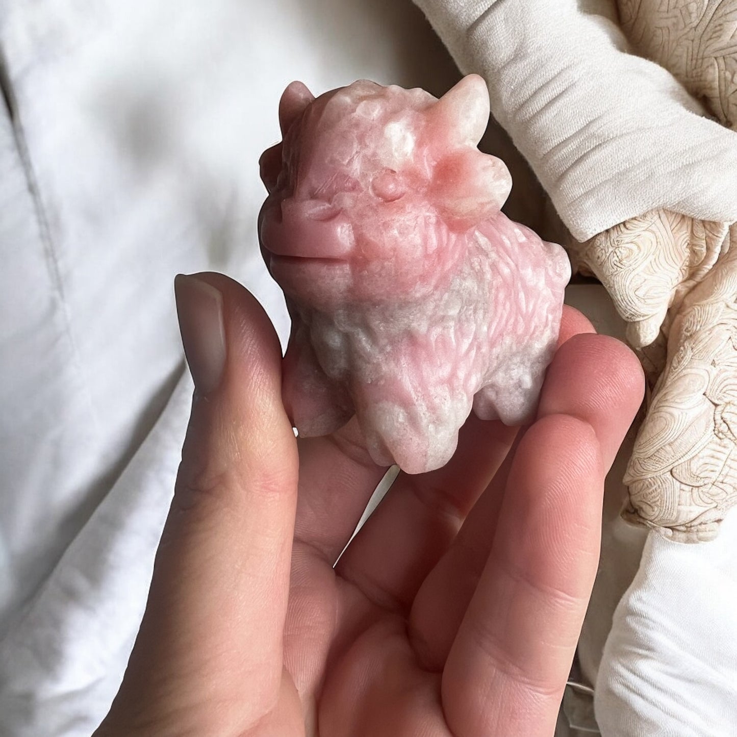 Pink opal highland cow slightly larger