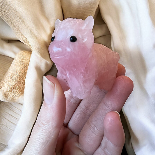 Rose Quartz highland cow